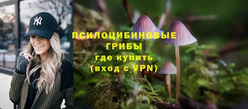 Галлюциногенные грибы MAGIC MUSHROOMS  Полярный 